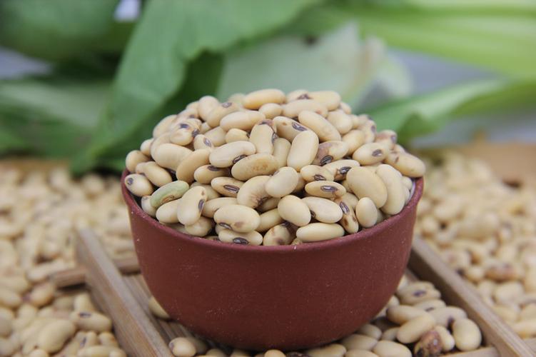 2,产品细节:陕北老黄豆产量低,自生自灭,自然生长,生长期长 .
